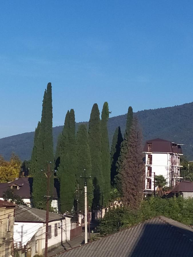 Anna-Saria Guest House Gagra Exterior photo